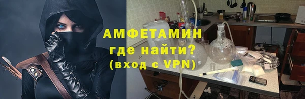 прущие грибы Волосово