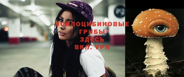 mix Горнозаводск