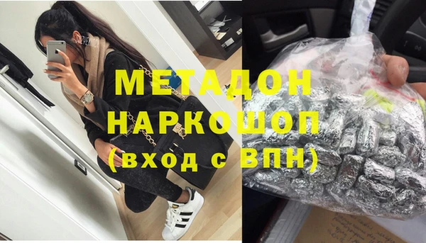 прущие грибы Волосово