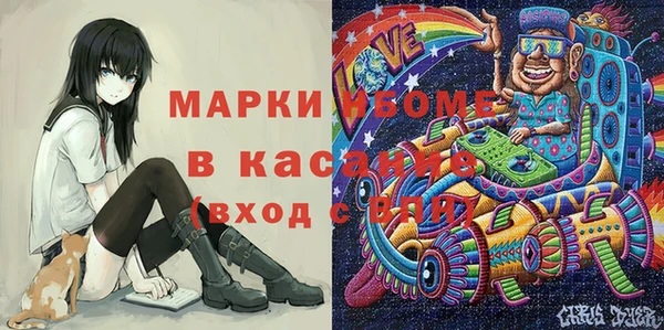 прущие грибы Волосово