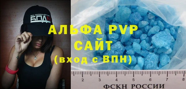 прущие грибы Волосово