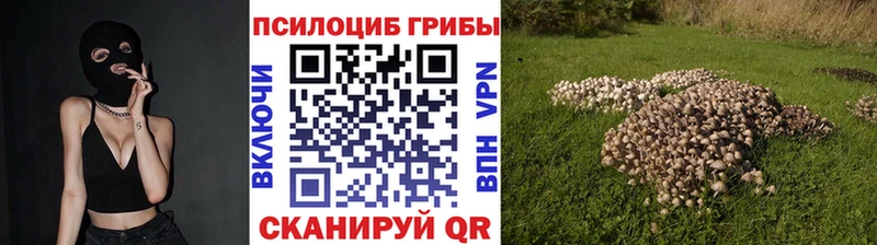 даркнет Telegram  Электрогорск  Галлюциногенные грибы мухоморы 